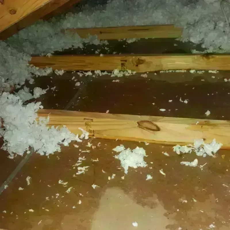 Attic Water Damage in Hazel Dell, WA